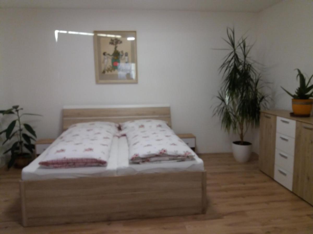 Apartman Formanka Λίμπερεκ Εξωτερικό φωτογραφία